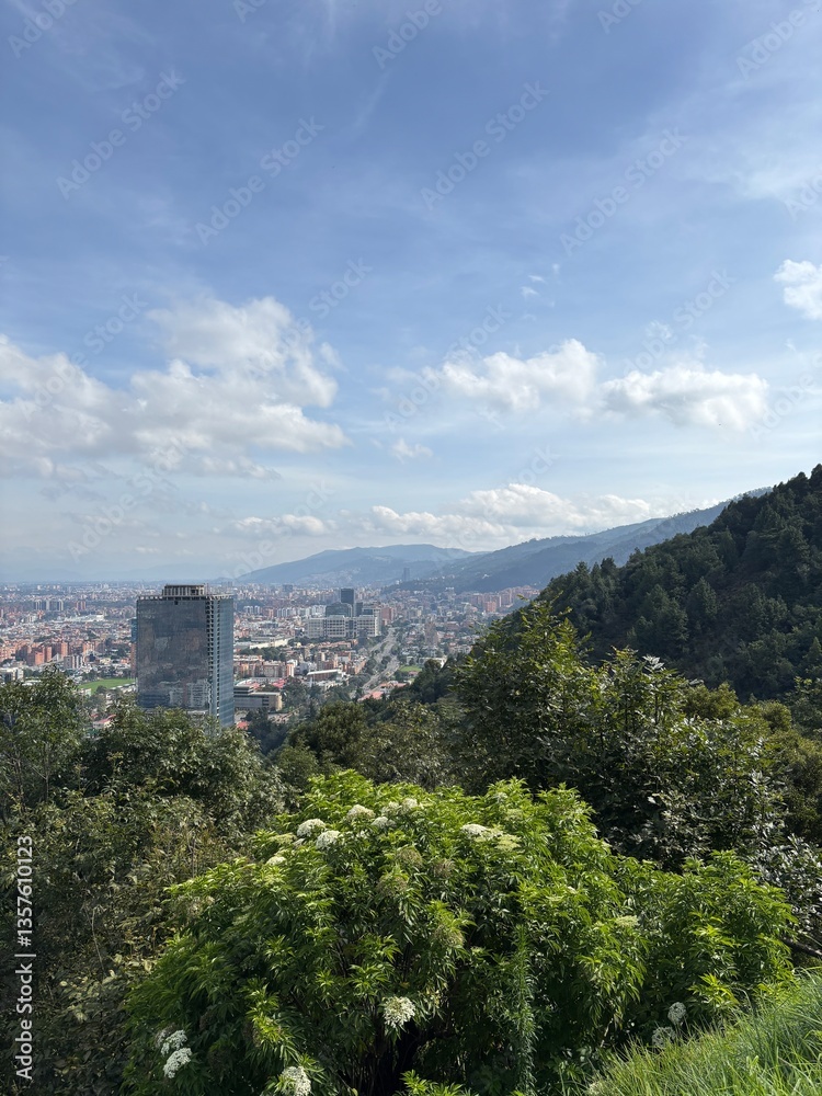 Obraz premium Vista hermosa de la ciudad con vegetación