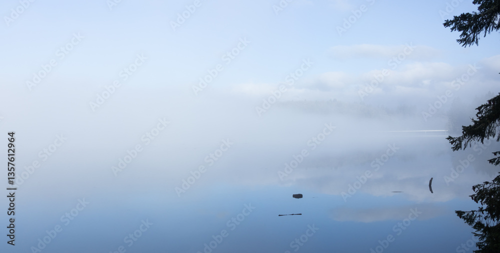 Obraz premium A foggy tranquil morning on Mayfield Lake