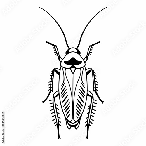 Cockroach Silhouette: A detailed black and white illustration of a cockroach, highlighting its segmented body, antennae, and legs in a stark, clean design.