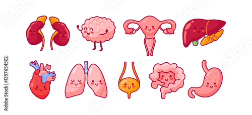 Cute kawaii characters representing internal organs like kidneys, brain, uterus, liver, heart, lungs, bladder, intestines, and stomach, each with friendly faces and vibrant colors, anatomy.