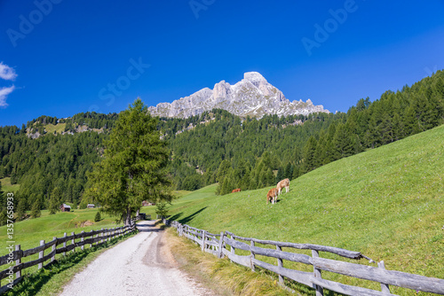 Obraz na płótnie Autumn trekking in Alta Badia w salonie