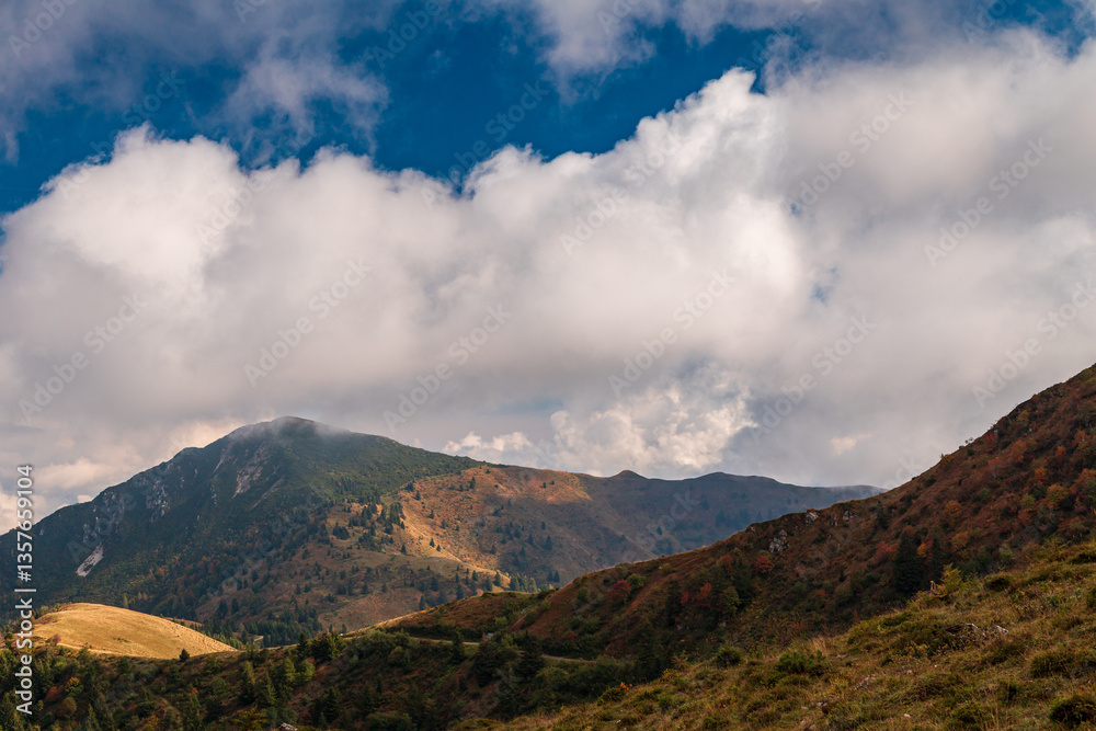 Colors are exploding in the woods of Carnic Alps