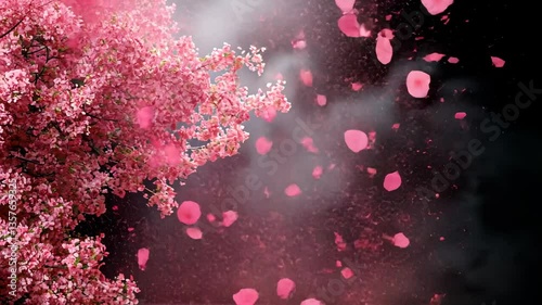 Falling Cherry Blossoms: A Breathtaking Pink Paradise