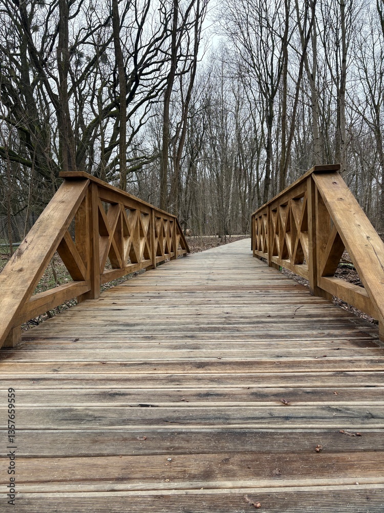 Obraz premium wooden bridge in the forest