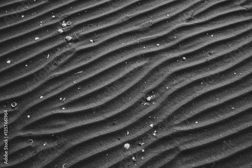 Spiaggia - Pattern Bianco e Nero