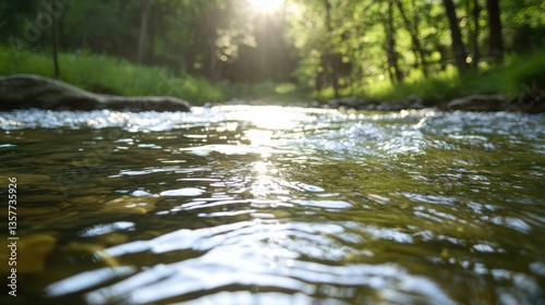 A tranquil stream flows through a lush forest, reflecting sunlight and surrounded by vibrant greenery, creating a serene natural landscape.