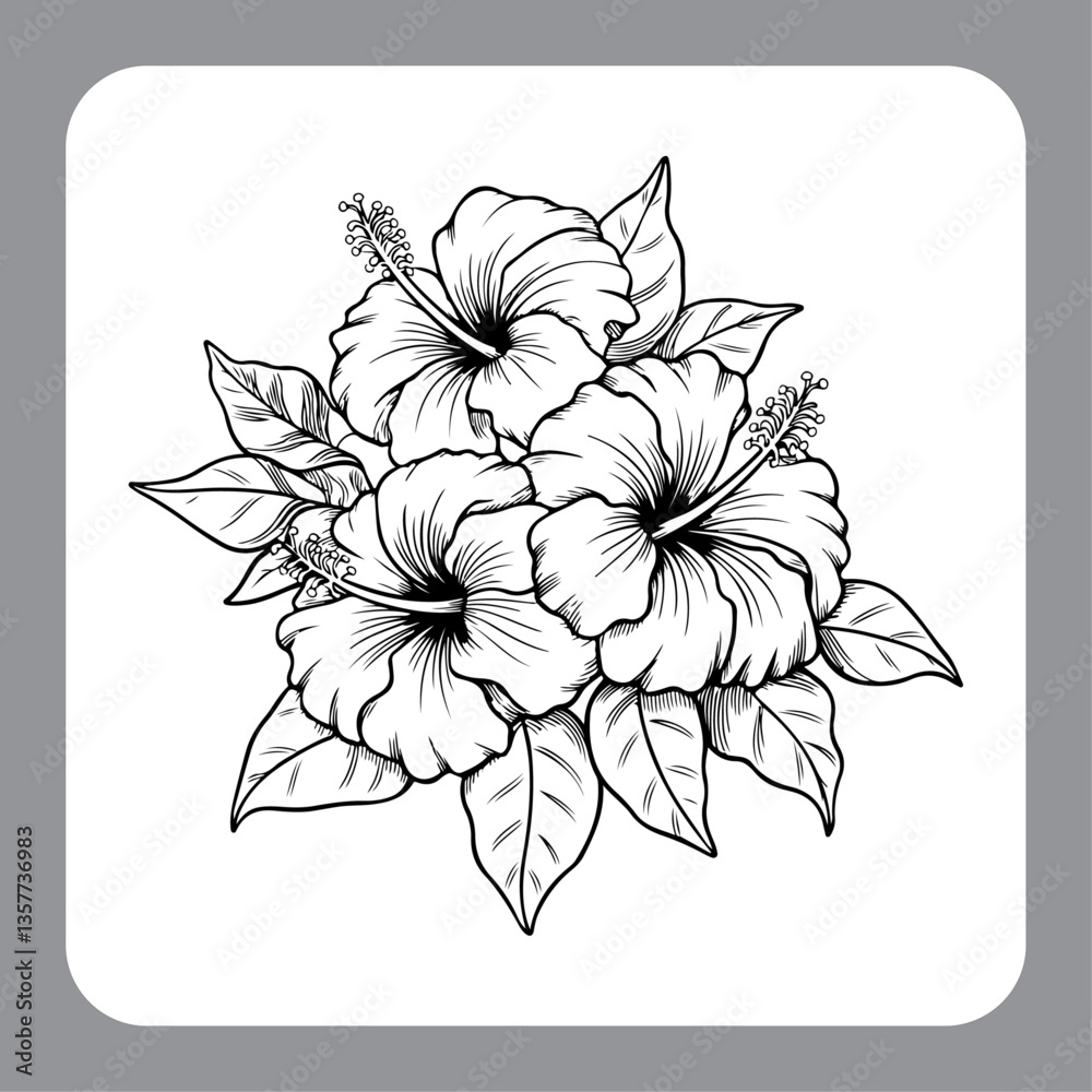 Obraz premium Beautiful Hibiscus Ink Illustration