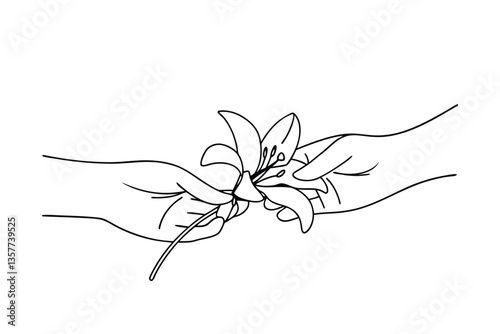 Gentle Hands Carefully Handling Delicate White Lily Flower