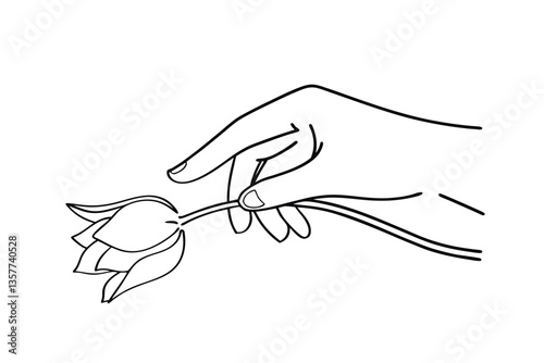 Hand delicately holding a single lotus flower blossom