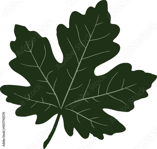 Leaf Icon - Leaf Vector Silhouette Illustration.