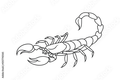 Line Art Drawing of a Scorpion Arachnid, Venomous, Desert Creature