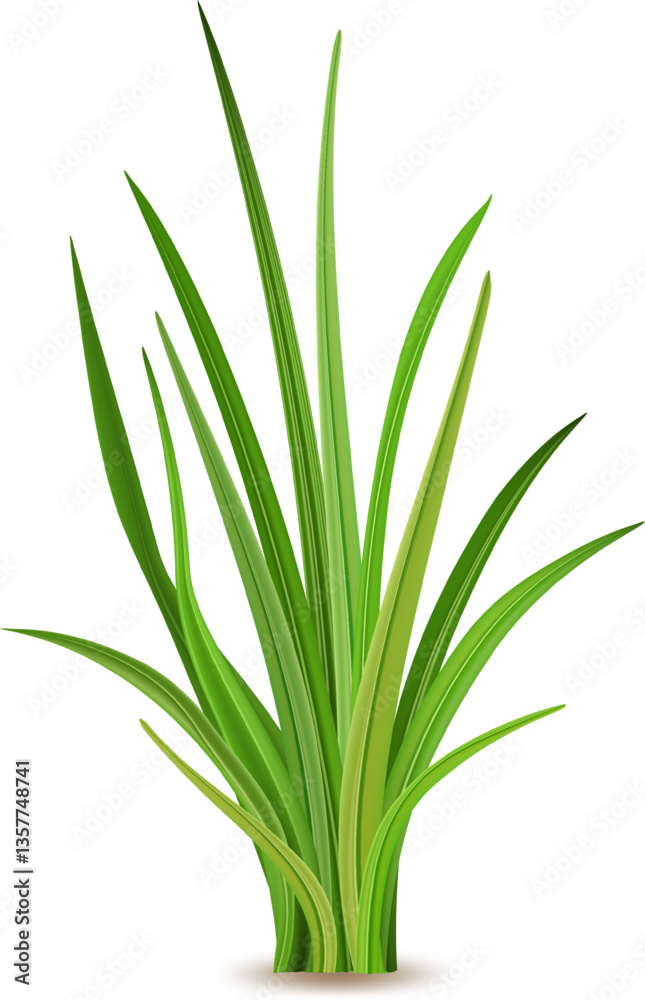 Realistic vector illustration showcasing fresh green grass thriving against a white background, capturing the essence of nature, spring, and vibrant growth in a serene setting Realistic vector illustration showcasing fresh green grass thriving against a white background, capturing the essence of nature, spring, and vibrant growth in a serene setting