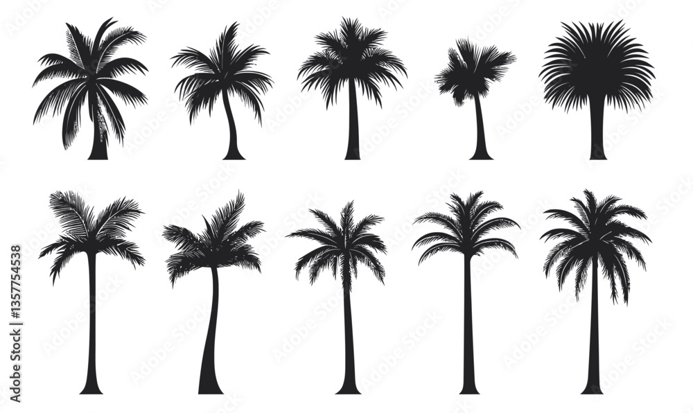 Tropical Palm Tree Silhouette Vector Set for Summer and Beach Design Projects Tropical Palm Tree Silhouette Vector Set for Summer and Beach Design Projects