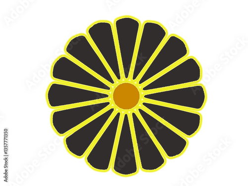 daisy flower isolated transparent background
