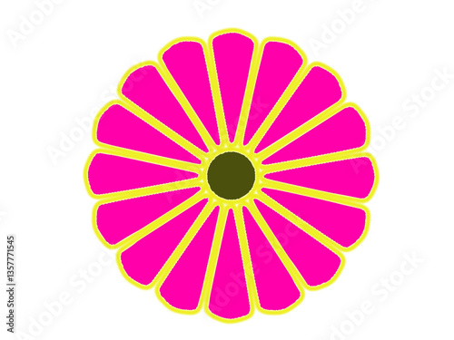 daisy flower isolated transparent background