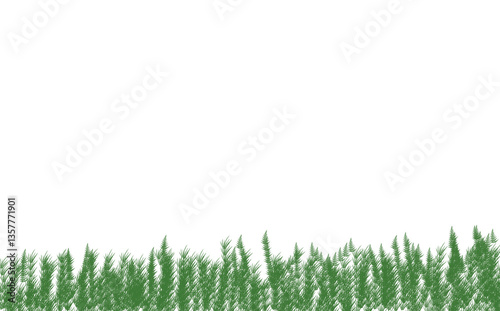 Illustration of Green Grass transparent element