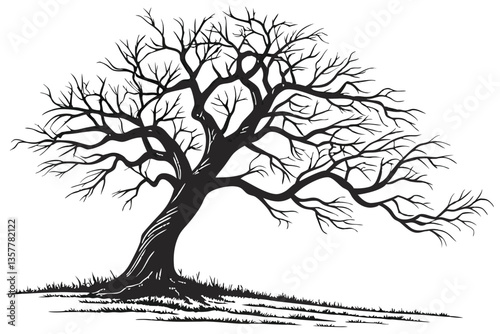 4 Bare tree, twisted branches, gnarled trunk, winter landscape, isolated on white background, detailed bark texture, organic shapes, monochromatic, high contrast, stark, haunting, nature photography, 
