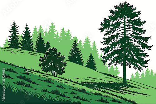 8 Lush green hilltop, dense pine forest, evergreen trees, rolling grassy meadow, isolated landscape, vibrant nature, panoramic view, serene wilderness, sunlit glade, natural border, coniferous treelin