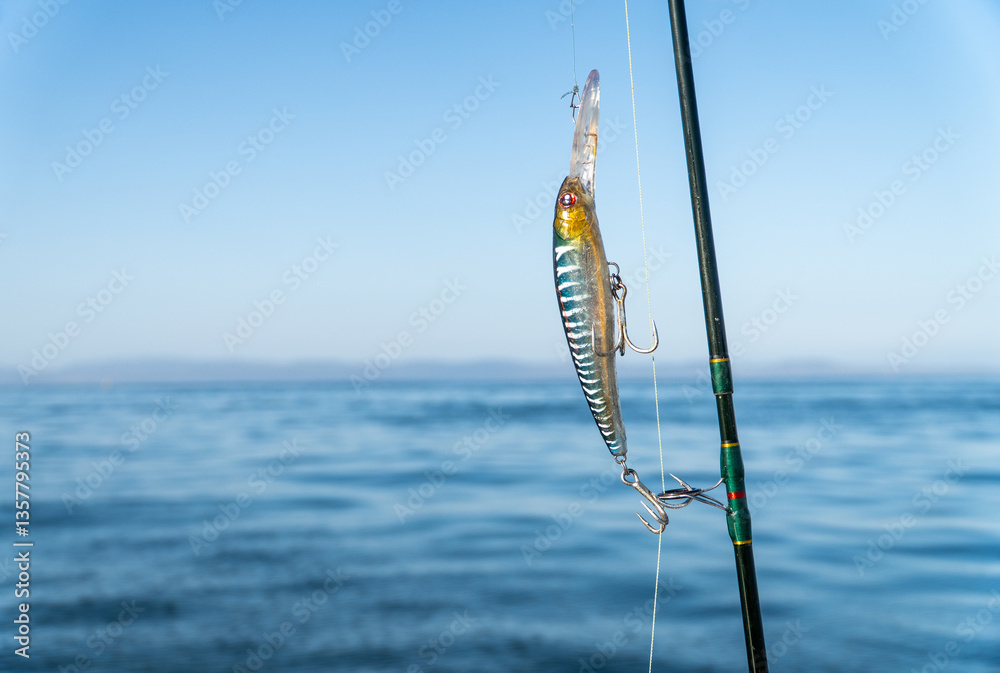 Close-up of a fishing hook hanging from a rod with the sea in the background