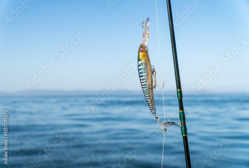 Obraz na płótnie Close-up of a fishing hook hanging from a rod with the sea in the background w salonie