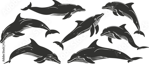 Silhouettes of dolphins swimming, showcasing marine wildlife and ocean nature.