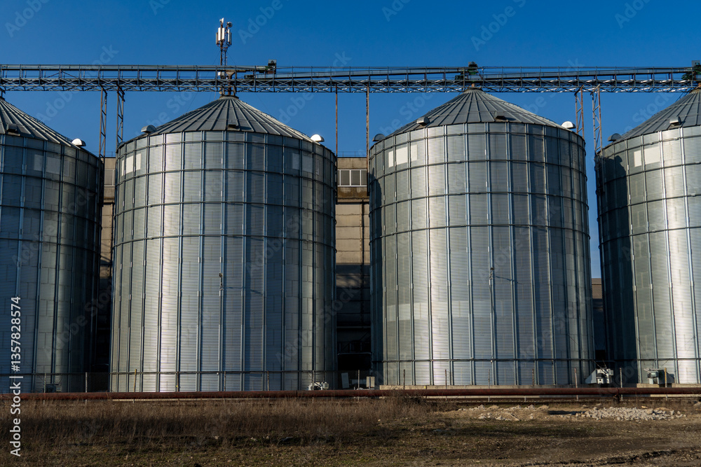 Four large metal silos stand tall against a bright blue sky at an agricultural site. The structures are essential for grain storage and processing Four large metal silos stand tall against a bright blue sky at an agricultural site. The structures are essential for grain storage and processing