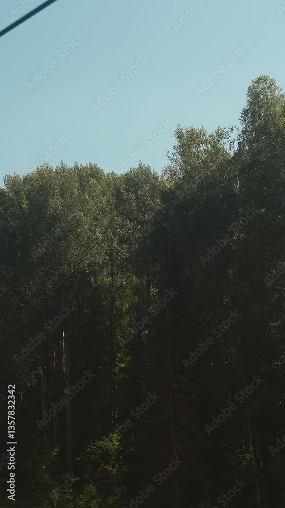 Cabin lift for travellers moves in air on cableway against dense trees. Video depicts amazing journey on cableway from lower station to viewing platform on mountain Cabin lift for travellers moves in air on cableway against dense trees. Video depicts amazing journey on cableway from lower station to viewing platform on mountain