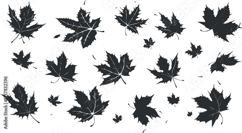 Silhouettes of maple leaves scattered on a white background, illustrating autumn.