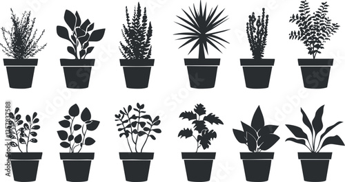 Silhouette illustration of various potted plants in black and white.