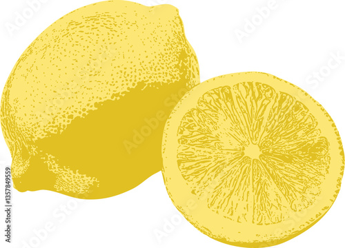 A beautifully arranged whole lemon and a halved lemon, combining smooth gradients and a stippled texture, emphasizing the contrast between the outer peel and the juicy interior.