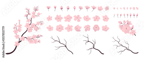 Big sakura constructor. Collection of pink flowers, buds, petals and branches. Flat vector illustration. Grainy texture effect. Design elements to create banners, posters, cards, patterns, invitations