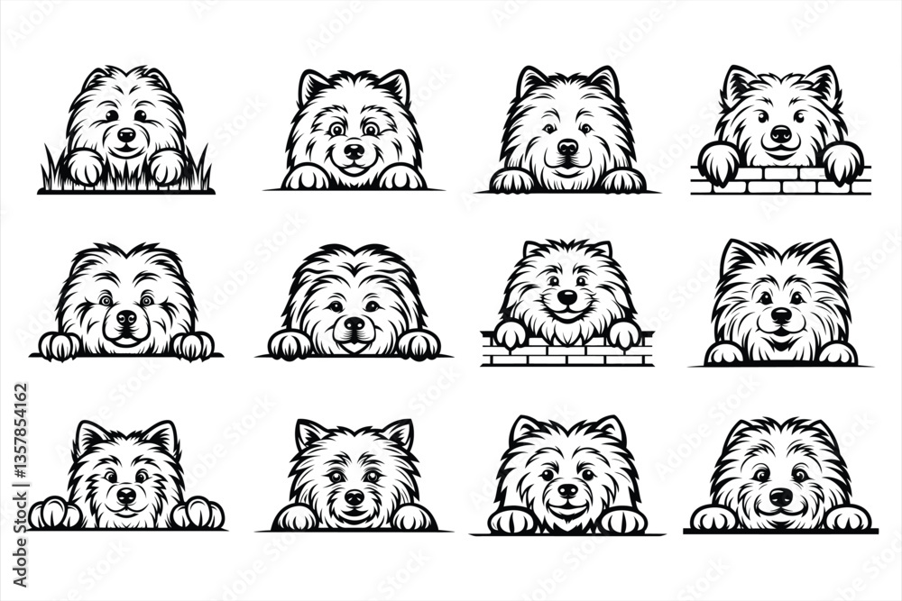 Obraz premium Peeking Samoyed Dog svg