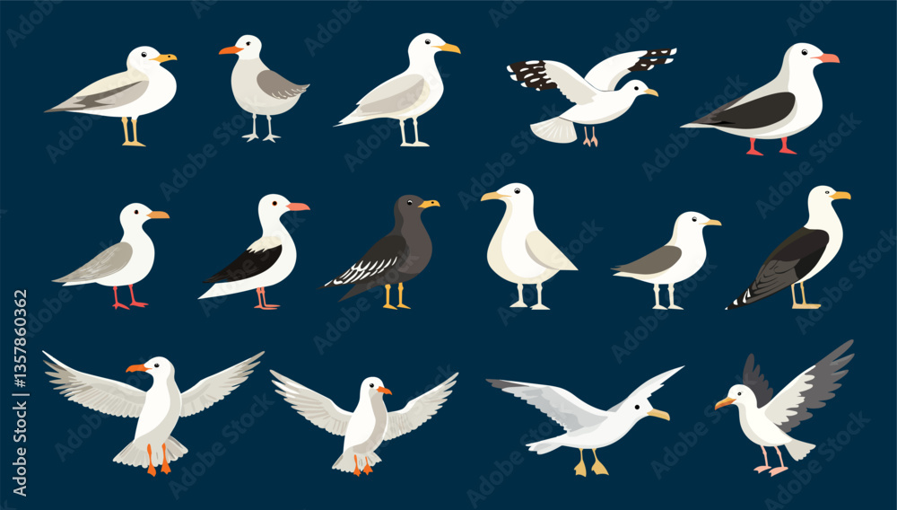 Obraz premium Seagull birds. Different seagulls flying and stand. Cartoon ocean sea nature wild bird. White and dark animals, beach coast landscape vector character
