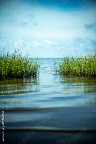 Florida Coastal Dream