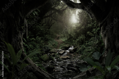 Dim light filters through the dense foliage of a tropical rainforest.