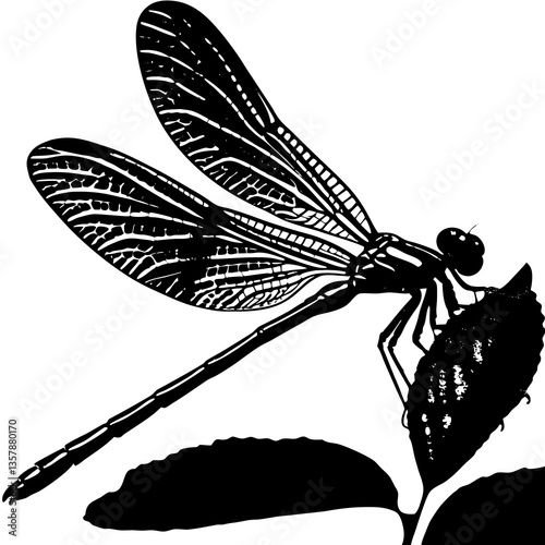 dragonfly