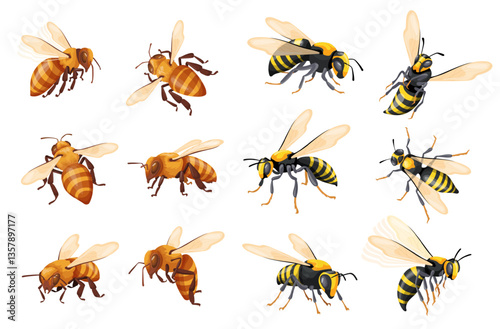 Cartoon wasp set. Realistic wasps hive, honeybee flying hornet bee worker and bumblebee european insect black yellow stripes fly bug for flower honey mead, neat vector illustration