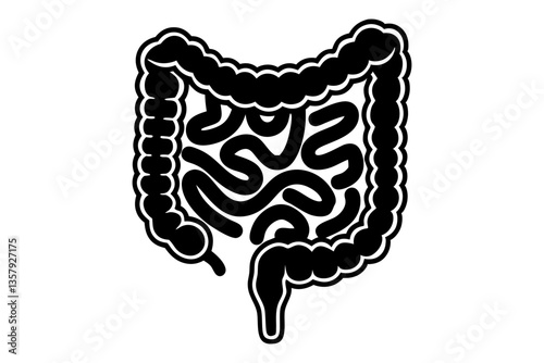 Digestive System Drawing on White Background