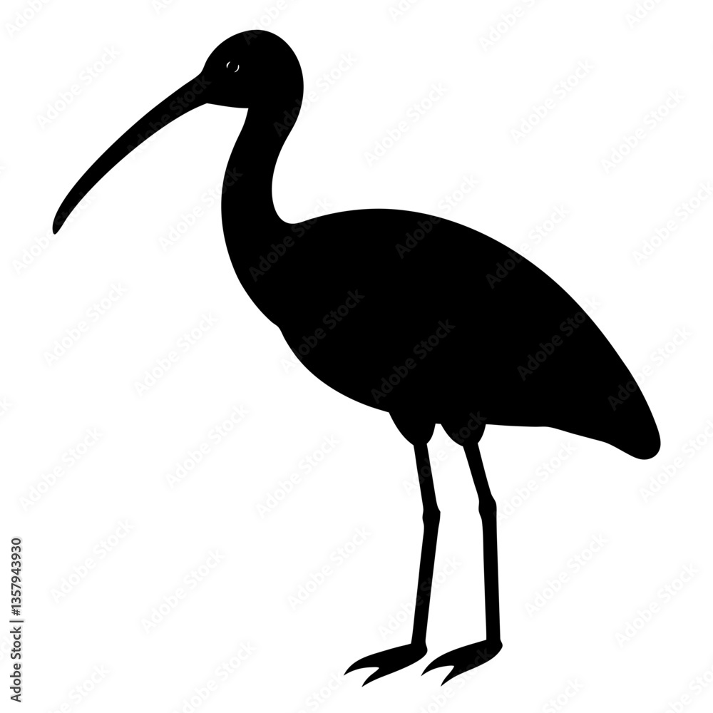 Fototapeta premium ibis bird black silhouette vector, Simple silhouette Design vector icon with white background. Wild bird