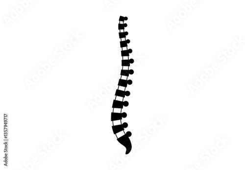 Spine medical poster