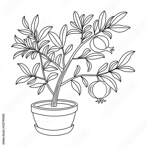 A black and white line art illustration of a pomegranate plant in a pot, featuring detailed leaves and fruits. Ideal for coloring pages, botanical designs, and educational materials.