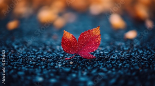 Red leaf with water droplets on dark ground. Autumnal scene; ideal for themes of nature, change, or loss.