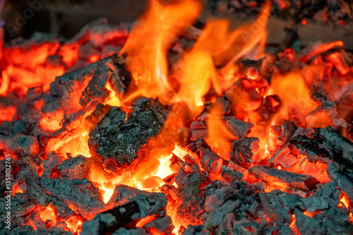 depiction of fire, capturing its beauty, power, and transformative nature.