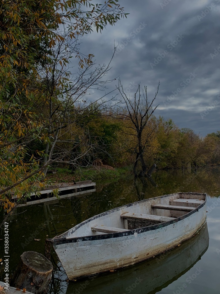 Obraz premium boat on the lake