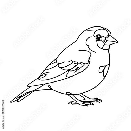 Singing Lark Bird Line Art Vector | Black and White Coloring Design
