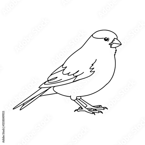Cute Canary Bird Line Art Vector | Black and White Coloring Page