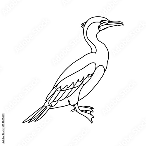 Elegant Ibis Bird Line Art | Black and White Vector Coloring Design