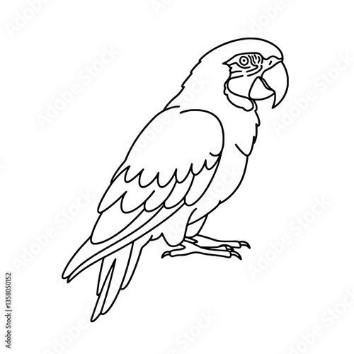 Tropical Macaw Line Art | Black and White Vector Coloring Page Design