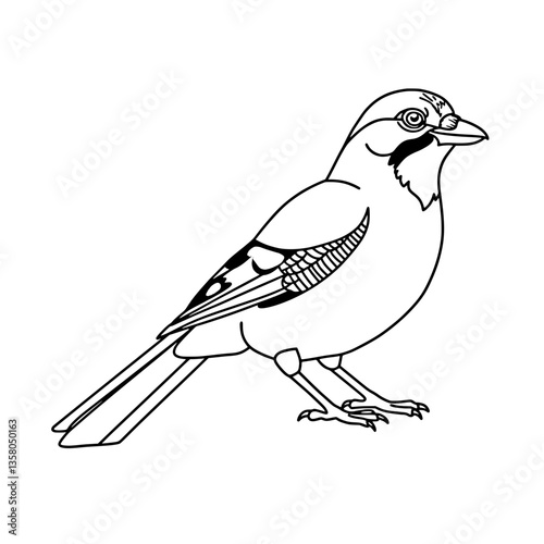 Minimalist Blue Jay Line Art Vector | Bird Coloring Page Design