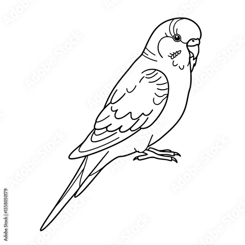Cute Parakeet Line Art | Black and White Vector Bird Coloring Design